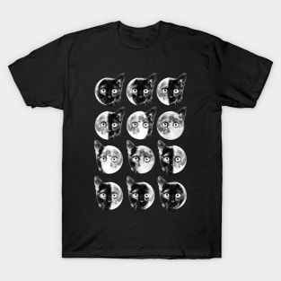 Cat moon phases T-Shirt